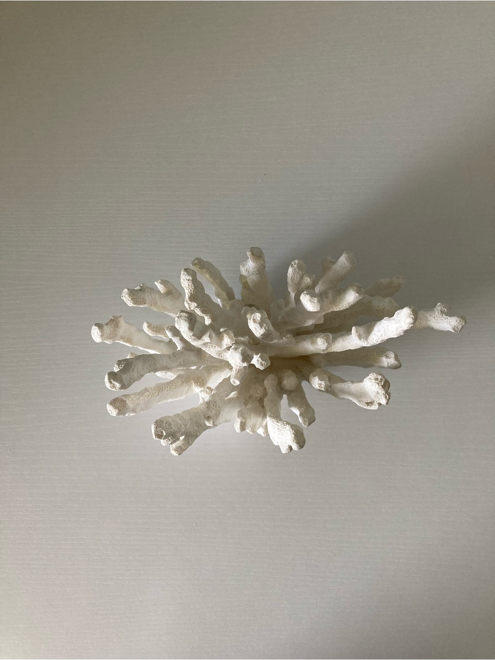 Pottery Barn resin coral sculpture - Picture 5 of 6